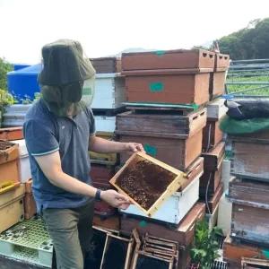 아미그린 얼굴모기장 씌우는 얼굴모기장 양봉모자 벌모자 방충모자