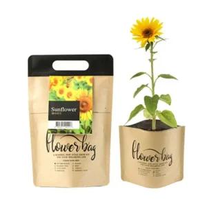 미니 DIY키트 방수화분 해바라기 재배 세트 식물인테리어 거실화분 인테리어화분