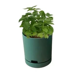 올인원 허브바질 재배기 텃밭화분 세트 베란다텃밭 옥상텃밭 텃밭화분 가드닝용품