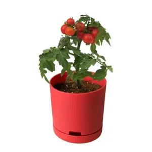 올인원 방울토마토 재배기 텃밭화분 세트 베란다텃밭 옥상텃밭 텃밭화분 가드닝용품