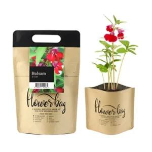 미니 DIY키트 방수화분 봉선화 재배 세트 식물인테리어 거실화분 인테리어화분