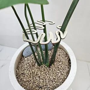 몬스테라 식물지지대 화분지지대 수태봉 개업선물 오픈선물 선물 선물용 우드