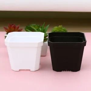 다육이 화분 미니화분 식목일 모종심기 식목일 모종심기