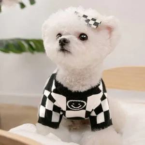 귀여운 겨울 니트 봄 가을 긴팔 데일리 강아지 스타일 옷 데일리옷 귀여운 니트 강아지 봄가을겨울