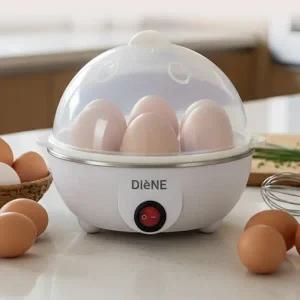 [Diene] 디엔 아우라 에그 스티머 DN-999EG