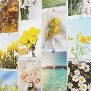 엽서 모음 컬러 선샤인 드림 집꾸미기엽서 촬영소품 사진엽서 인테리어엽서 예쁜엽서 다꾸엽서