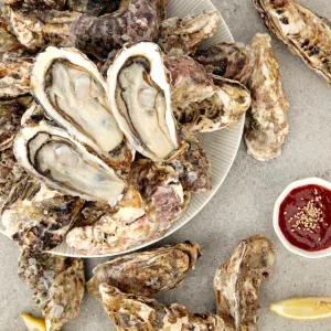 [롯데백화점]오초록 [바다담음] 통영 석화(각굴) 5kg