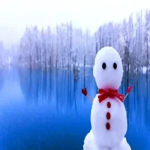 [숲 속 온천마을 조잔케이] 북해도/비에이 4일_[게요리+주류/음료 무제한+팁포함]