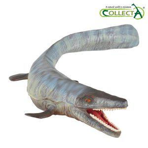 [컬렉타] 틸로사우루스