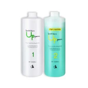 DK 딕슨 스피드앤볼륨 업펌 1제2제 각1000ml 단백질 파마약