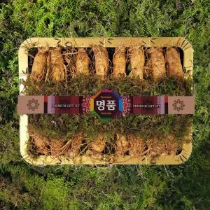 금산인삼 수삼선물용(바구니5호)원수삼 특대 2채(1.5kg)  14~16뿌리
