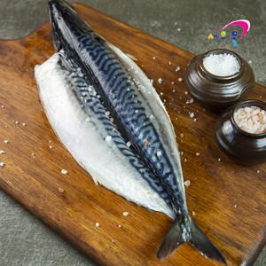 노르웨이 간고등어(대) 5손(10미) 2.9kg내외 자반고등어