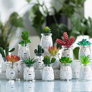 다육식물 미니화분 3개세트 흰색 자연석 포함