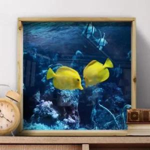 아트박스 꾸밈 ir706-우드프레임액자_바닷속물고기 중형)