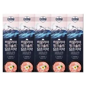 엘지 죽염 히말라야 핑크솔트 담은 치약 플로럴 100g X 5개