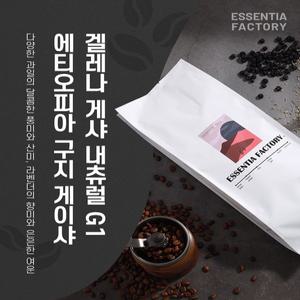 1kg 에티오피아 구지 겔레나 게이샤 G1 원두 커피