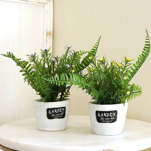 인테리어 미니 조화 허브 생화같은 로즈마리펀 가든조화화분