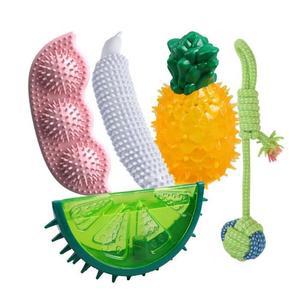 [예펫] 강아지 이갈이 5종 세트 장난감 치석관리 멍멍