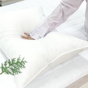 피톤치드 구름베개솜 40x60 (2장)