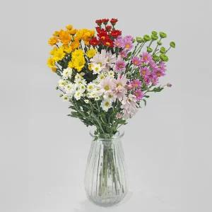 마이플랜트 생화 소국 어레인지먼트 02 소국 한단