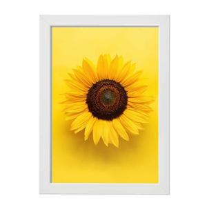 [KGPQWFYK_4B]해바라기 그림 돈들어오는 액자 선물 집들이