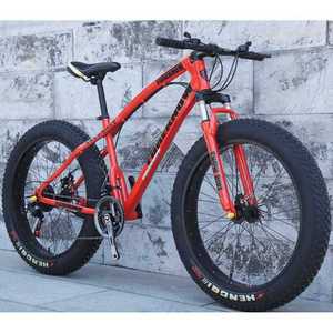 대형바퀴자전거 싸이클 자이언트 스포츠 레저 라이딩