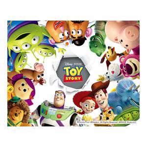 DIY 보석십자수 디즈니 토이스토리1 40x50cm 캔버스형