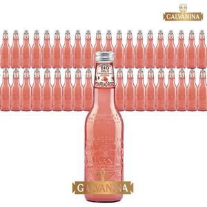 갈바니나 유기농 자몽 소다수 355ml 12개