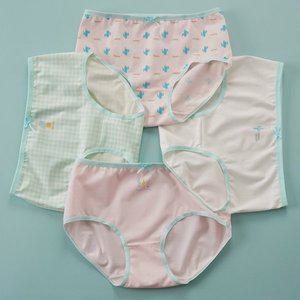 [빌도르] 삼각 칵투스 4매 여아 주니어 초등학생 중학생 여학생 팬티 세트