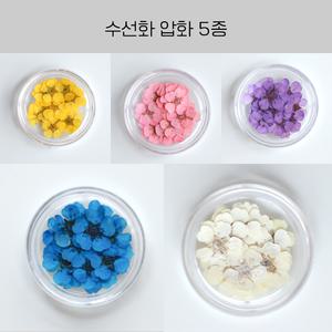 레진 공예 UV 크리스탈 레진 아트 재료 수선화 압화 드라이 플라워 부자재