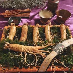 풍기인삼 자가경작 6년근 삼우리 수삼 인삼선물세트 특대 750g(6-7뿌리)