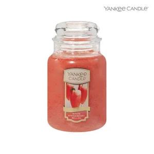 양키캔들 라지자 화이트스트로베리벨리니