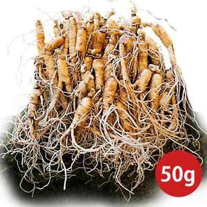 산양삼 5년근이상 토종 명품 황절삼 사포닌 함유 부모님선물 50g 100g