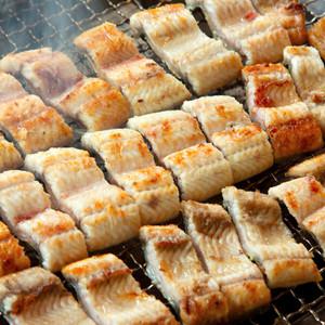 [오늘의바다] 통영 바다장어 240g(3미) x 6팩(소스 증정)/총 18미