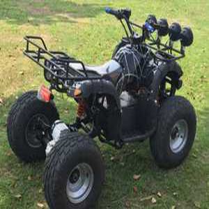 농업용 사륜 바이크 오프로드 효도상품 레저 다목적