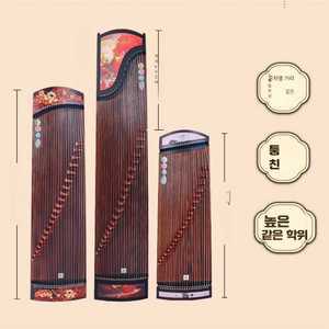 공룡마켓 (가야금 12현 교육용 25현가야금 현악기 독주