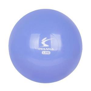 [LF28211T_56]아이워너 필라테스볼 웨이트볼1.5kg