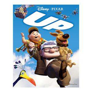 DIY 보석십자수 디즈니 업 40x50cm 캔버스형