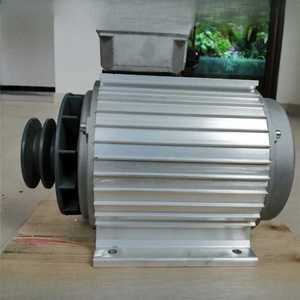 영구 자석 발전기 모터 고전력 브러시리스 발전 220V 고품질