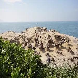 [청주출발]대만/야류/지우펀/우라이 4일#101타워 #케이블카 #발마사지#까르푸자유쇼핑