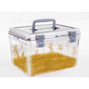 빙어살림통 투명 하드 미끼보관 고기 박스 빙어통 수조 투명살림통 미끼 구더기