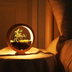 고담빛 달빛정원 테라리움 DIY 만들기 키트 힐링 식물