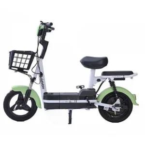 2인용 전기자전거 출퇴근 배터리 산책 마실 장바구니