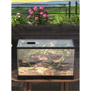 사육장 곤충 도마뱀 파충류 타란툴라 투명한 상자 양서류 달팽이 온도 동물 특수