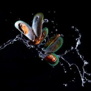 국내산 자숙 냉동 피홍합 10kg (1kg X 10개)