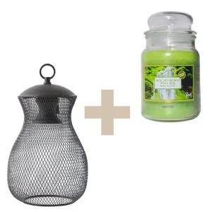 몬스데코 페탈리캔들+비론디 빛조절 캔들워머 세트