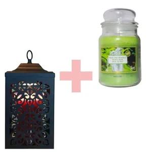 몬스데코 페탈리캔들+로노카 빛조절 캔들워머 세트