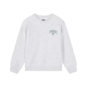 NBA 키즈 팀 그래픽 맨투맨 K251TS030P 라이트 그레이 306650