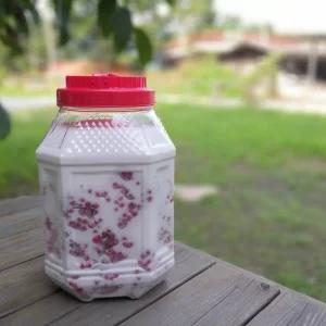 [해피메이킹] 2025년 생오미자 당절임 10kg (흰설탕)