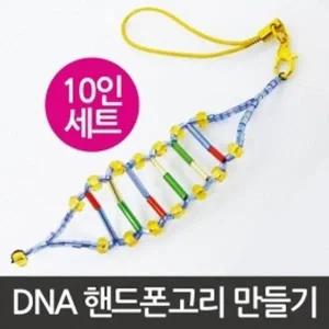 [셀러허브]DNA 구조의 이해 핸드폰 고리 만들기 10세트 A00160 (S31268629)